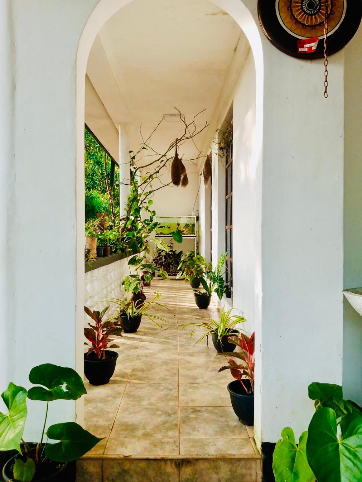 Abhaya Resorts Anuradhapura Bagian luar foto